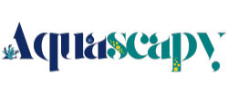 Aquascapy